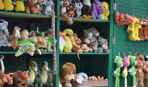 New toy store opens in South Glens Falls
